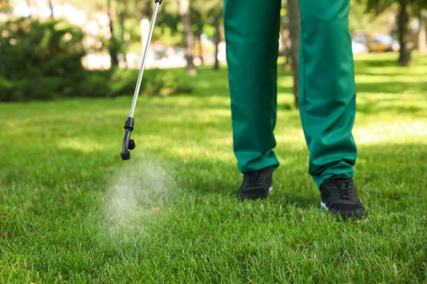 Best Ant Control Services  in Congress, AZ