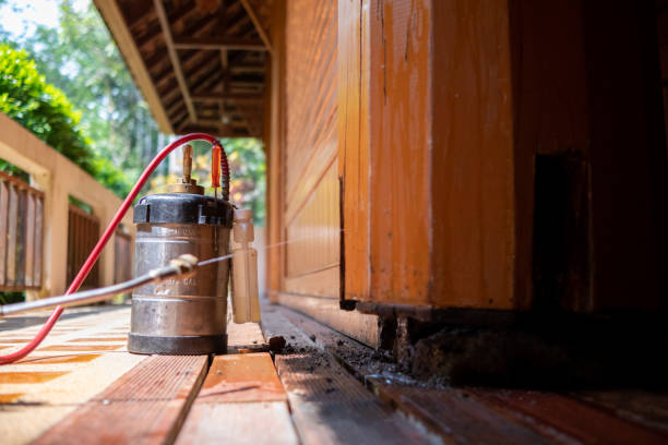 Best Mosquito Control Services  in Congress, AZ