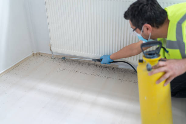 Best Mosquito Control Services  in Congress, AZ