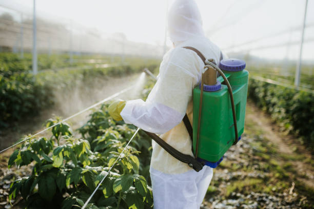 Best Ant Control Services  in Congress, AZ